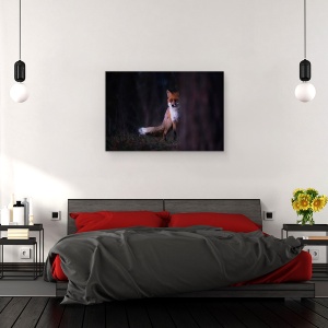 Tablou canvas - Priviri, Vulpe, Intuneric, Punct, Noapte, 80 x 120 cm - Img 3