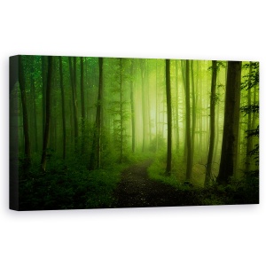 Tablou canvas - Promisiune De Primavara, Peisaj, Padure, Padure, Verde, Vara, 50 x 100 cm