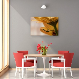 Tablou canvas - Protejat, Floare, Macro, Apa, 40 x 60 cm - Img 4