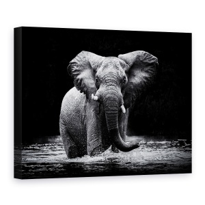 Tablou canvas - Putere, Elefant, Apa, Intuneric, Animal, Big, 75 x 100 cm