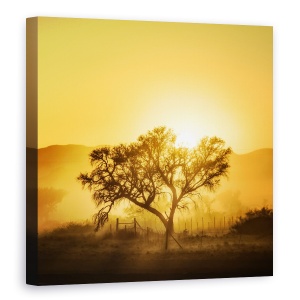 Tablou Canvas - Rasarit Auriu, Peisaj, Africa, Rasarit, Copac, Gard, 60 x 60 cm