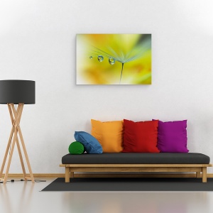 Tablou canvas - Raze de Soare, Galben, Papadie, Samanta, Reflectie, Moale, Vara, 80 x 120 cm - Img 2