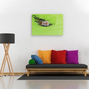 Tablou canvas - Relaxare, Tigru, Inot, Alge, Relaxare, Animal, Baie, 60 x 90 cm - Img 2