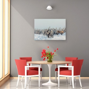 Tablou canvas - Reni, Animale, Reni, Iarna, 80 x 120 cm - Img 4