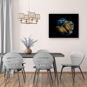 Tablou canvas - Rochia Mea, Peste De Lupta Siamez, Intuneric, Punct, 60 x 75 cm - Img 4