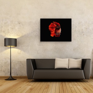 Tablou canvas - Rosu, Animal, Peste, Eleganta, 50 x 70 cm - Img 2