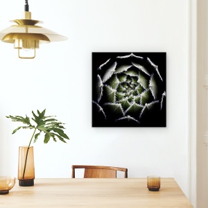Tablou Canvas - Rozeta Sempervivum, Rosette, Suculent, Sempervivum, Plante, 90 x 90 cm - Img 4