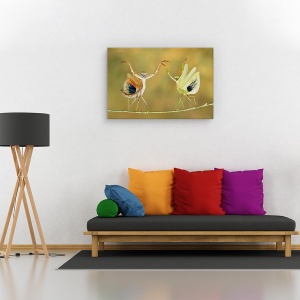Tablou canvas - Sa inceapa spectacolul!, Flori, Insecte, Strain, Cuplu, 60 x 90 cm - Img 2