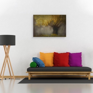 Tablou canvas - Salcie Pollard, Copac, 80 x 120 cm - Img 2
