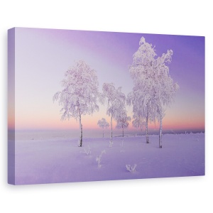 Tablou canvas - Seara De Ianuarie, Iarna, Inghet, Copaci, Zapada, Rece, 80 x 120 cm