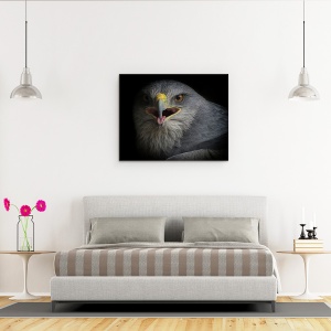 Tablou Canvas - Strigat De Razboi, Natura, Pasare, Vultur, Ochi, Agape, Cioc, 40 x 50 cm - Img 3