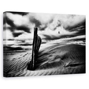 Tablou canvas - Strigatul Pescarusului, Peisaj, Gard, Nisip, Dune, 40 x 60 cm