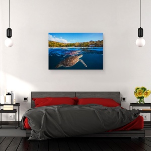 Tablou canvas - Testoasa Verde - Testoasa De Mare, Sub Apa, Calatorie, 80 x 120 cm - Img 3