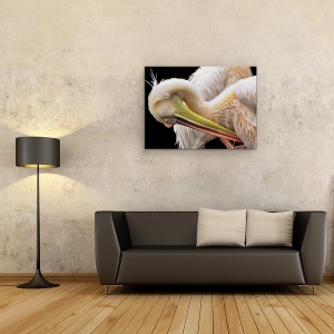 Tablou canvas - Toaleta, Pelican, Pasare, Natura, Animal, Cioc, 60 x 80 cm - Img 2