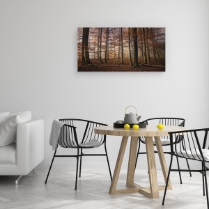 Tablou canvas - Toamna, Copaci, Padure, 50 x 100 cm - Img 4