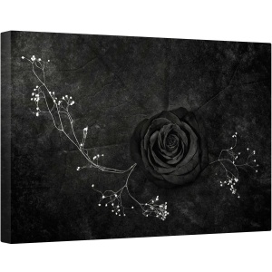Tablou canvas - Trandafir Negru, Trandafir, Alb-Negru, Intunecos, Floare, 80 x 120 cm