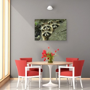 Tablou canvas - Tres Banditos, Natura, Banditi, Padure, Raton, Frati, 40 x 60 cm - Img 4
