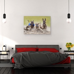 Tablou canvas - Trio Castigator, Antrenare, Ogar, Cursa, Caine, 60 x 90 cm - Img 3