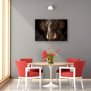 Tablou canvas - Tusker, Nature, Elefant, Maiestuos, Colti, 80 x 120 cm - Img 4