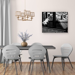 Tablou canvas - Ultimul Client, Caine, Salt, Pet, Strada, 60 x 75 cm - Img 4