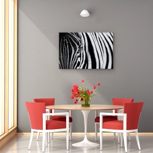 Tablou canvas zebra cu dungi în natură 60x90 cm