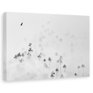 Tablou canvas - Valea Cocora, Palmieri, Copaci, Pasare, Speranta, 60 x 90 cm