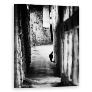 Tablou canvas - Vanator Tacut, Pisica, Intuneric, Vanatoare, Alee, Animal, 60 x 75 cm