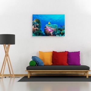 Tablou canvas - Viata Maritima, Sub Apa, Pestele Clovn, Anemone, Recif, 80 x 120 cm - Img 2