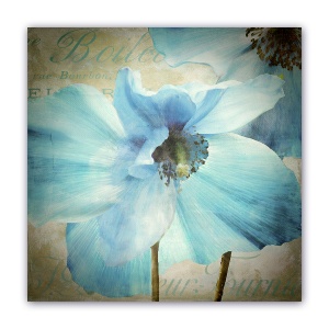 Tablou Canvas - Vintage, Flori, Narcis, 60 x 60 cm