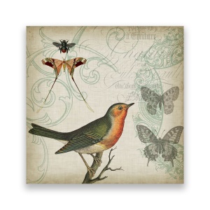 Tablou Canvas - Vintage, Pasare, Fluturi, 60 x 60 cm