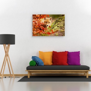 Tablou canvas - Vulpe, Nature, Toamna, Blana, Frunze, 60 x 90 cm - Img 2
