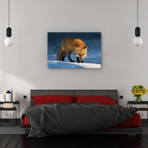 Tablou canvas - Vulpe rosie, Nature, Zapada, Iarna, Natura, 80 x 120 cm - Img 3