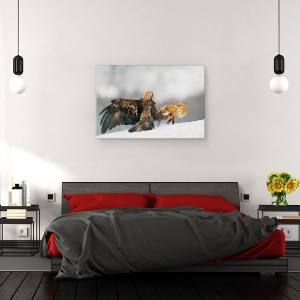 Tablou canvas - Vulturul De Aur Si Vulpea Rosie, Natura, Salbatic, 40 x 60 cm - Img 3