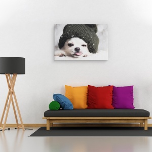 Tablou canvas - Yah-Boo, Caine, Chihuahua, Pet, Animal, Limba, 80 x 120 cm - Img 2