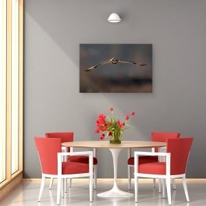 Tablou canvas - Zbor Spre Mine, Pasare, Salbatic, Bufnita, Iarna, 80 x 120 cm - Img 4