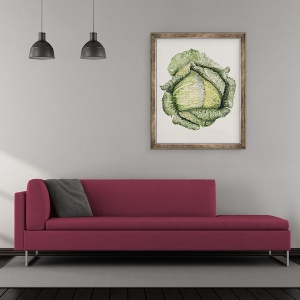 Tablou inramat - Alison Cooper - Varza Savoy, 50 x 60 cm - Img 2