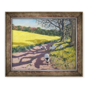 Tablou inramat - Andrew Macara - Oi si camp galben, Radbourne, Derby, 2017, 50 x 60 cm