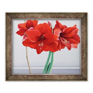 Tablou inramat - Christopher Ryland - Amaryllis rosu, 50 x 60 cm