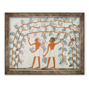 Tablou inramat - Egyptian 18th Dynasty - Culegerea strugurilor, din mormantul lui Nakht, 70 x 90 cm