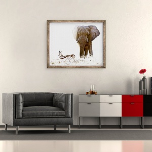 Tablou inramat - Eric Meyer - Bull elefant si Springbok, Etosha, 50 x 60 cm - Img 2