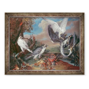 Tablou inramat - Ferdinand Phillip de Hamilton - soimi Cyr Groenlanda, 70 x 90 cm