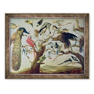 Tablou inramat - Frans Snyders - Concertul pasarilor, 70 x 90 cm