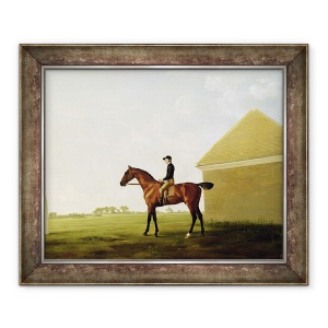 Tablou inramat - George Stubbs - Turf, 50 x 60 cm