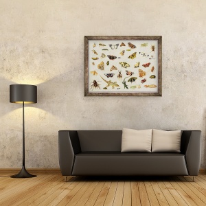 Tablou inramat - Jan van Kessel the Elder - Un studiu al insectelor, 70 x 90 cm - Img 2