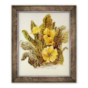 Tablou inramat - Joan Thewsey - Primrose, 2010, acuarela pe hartie lucrata manual, 50 x 60 cm