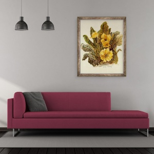 Tablou inramat - Joan Thewsey - Primrose, 2010, acuarela pe hartie lucrata manual, 50 x 60 cm - Img 2