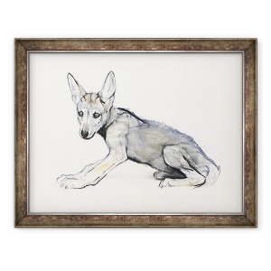 Tablou inramat - Mark Adlington - Adolescent Arabian Lup, 70 x 90 cm