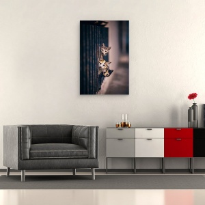 Tablou canvas - A Zis Cineva Miau?, Pisica, Strada, Trotuar, Animale, Noapte, 60 x 90 cm - Img 2