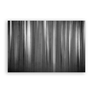 Tablou Canvas - Abstract, Alb-Negru, 80 x 120 cm