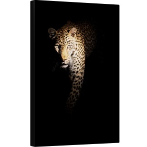 Tablou canvas - Afara Din Intuneric, Leopard, Fauna, Africa, Natura, Felina, Intunecos, 40 x 60 cm